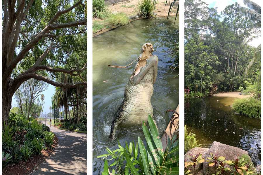 Above are some images from William Harrison's vacation to Australia over Christmas break. PHOTOS SUBMITTED BY WILLIAM HARRISON