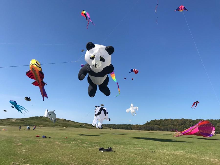 Kite Festival
