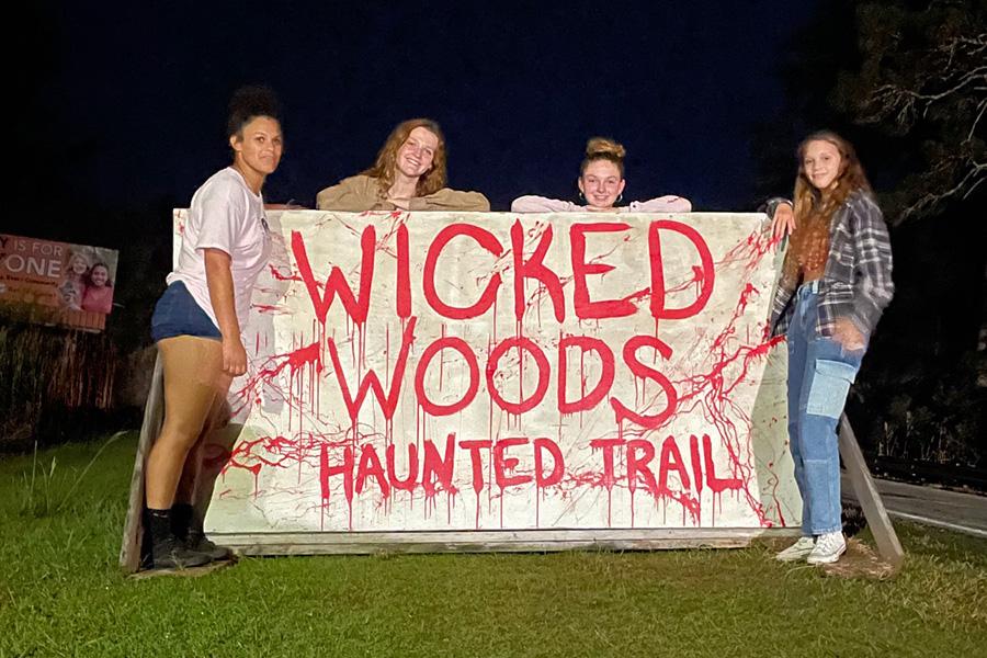 Wicked Woods